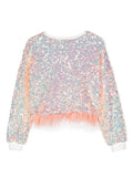 Embellished Sequined Sweatshirt / Peach