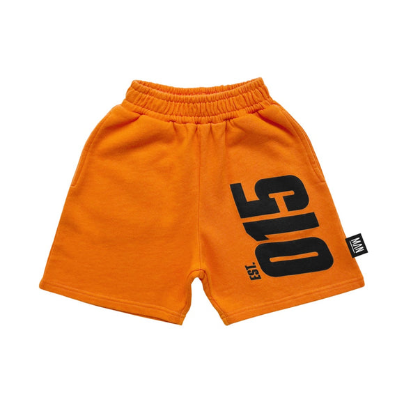 Established 015 Board Shorts-  Orange/Sunset Bliss