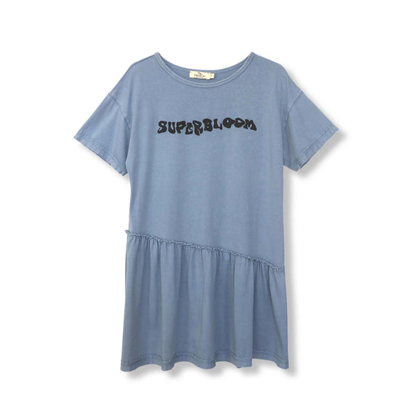 Printed T-shirt Dress / Blue